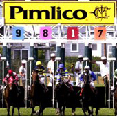 2009 Preakness Stakes - special bets, betting bonus on the Preakness