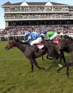 Wednesday U.K. horse racing overviews