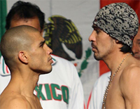 Cotto vs. Margarito odds on the fight updated