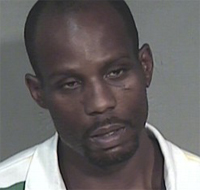 DMX arrested on drug and dogfighting charges