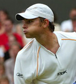 French Open: Andy Roddick withdraws due to injury