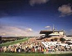 Goodwood horse races on Friday, June 1st
