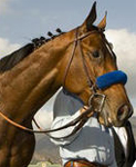 Kentucky Derby 2010: Kentucky Derby odds, contenders, weather