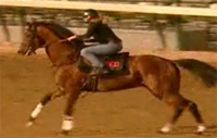 Preakness Stakes Results: The winner is Big Brown