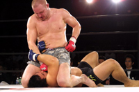 Bodog Mixed Martial Arts betting contest a big hit