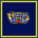 Crazy Slots Casino