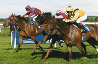 U.K. Horse races at Goodwood, Bangor, Newcastle and Salisbury